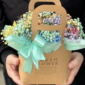 Гипсофила разноцветная в коробке-сумочке