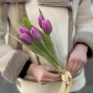 Букет из тюльпанов 5 шт