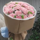 Букет «Диантус розовый» из гвоздик и гипсофил