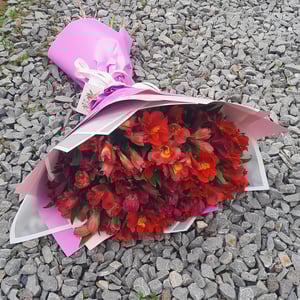 Букет красных альстромерий