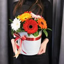 Шляпная коробка с цветами «Композиция "Мила"» из гербер