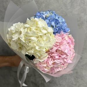 Букет из разноцветных гортензий