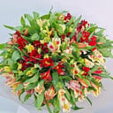 Букет из 35 альстромерий микс