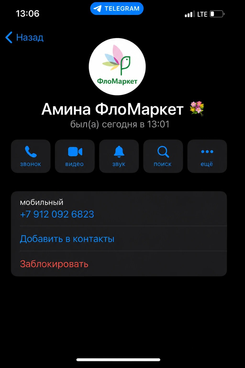 Пример мошеннической переписки 1
