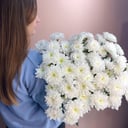 Букет из 11 веток пышной хризантемы