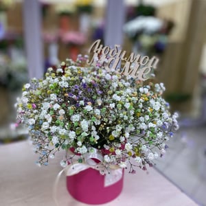 Шляпная коробка с цветами «Первая красавица» из гипсофил