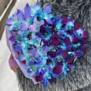 Букет из Орхидей