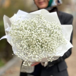 Воздушный монобукет