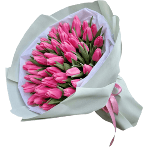 Букет из 51 розового тюльпана