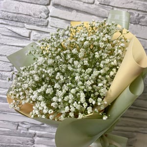 Букет «Зеленый шум» из гипсофил