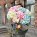 Букет с разноцветными гортензиями