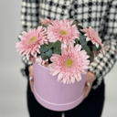 Шляпная коробка с цветами «Лунный рассвет» из гербер