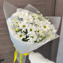 Букет Ромашки