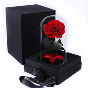 Вечная красная роза