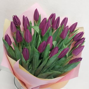 Букет «25 фиолетовых тюльпанов»