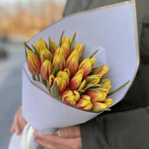 Букет из тюльпанов в упаковке 25 шт