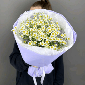 Монобукет ромашек в лавандой упаковке