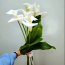 Букет «Грация» из калл