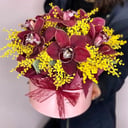 Шляпная коробка с цветами «Весеннее настроение» из орхидей и мимоза