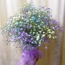 Композиция «Фейерверк» из гипсофил