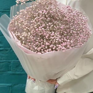 Букет из розовых гипсофил в упаковке