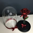 Роза стабилизированная бордовая