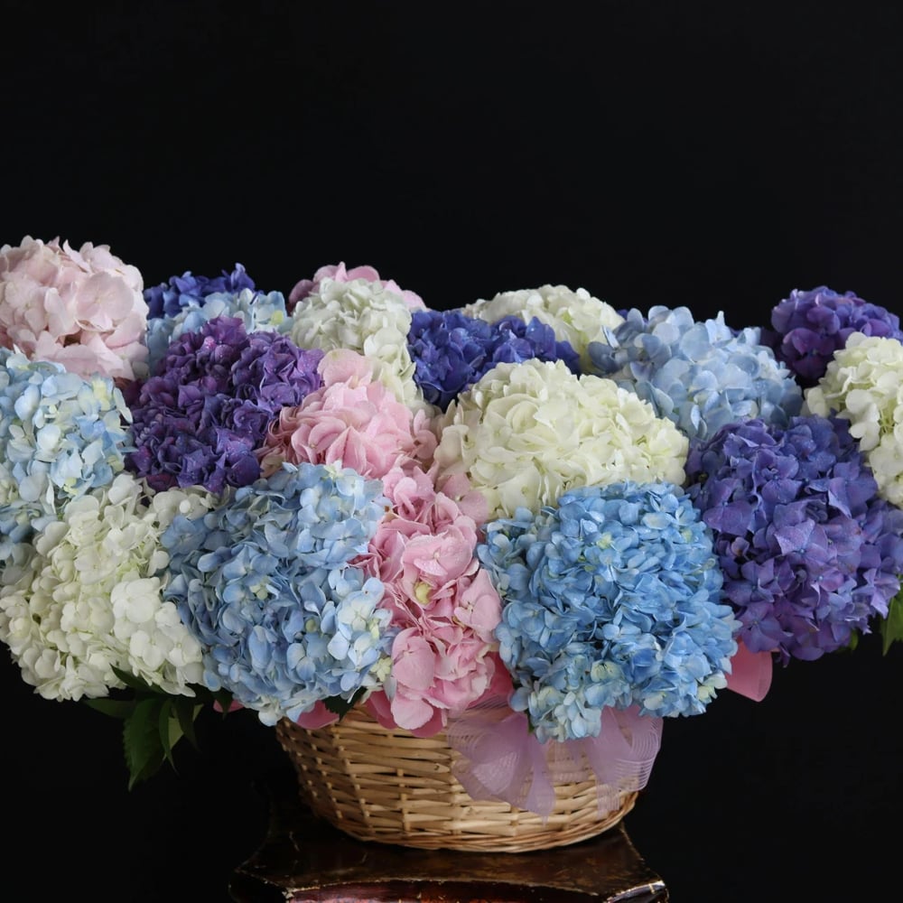 Außergewöhnlicher Blumenstrauß mit Orchideen, Calla, Protea und Hortensien
