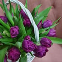 Композиция из тюльпанов в корзине