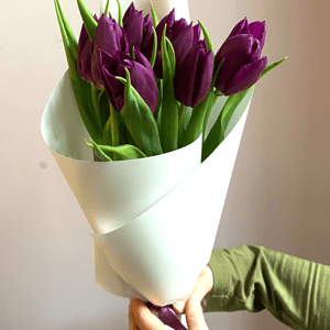 Букет 9 фиолетовых тюльпана