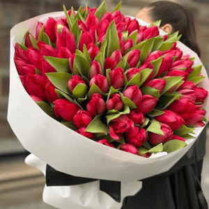 Букет из 101 красного тюльпана