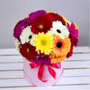 Шляпная коробка с цветами «Весёлые герберы»