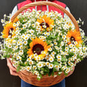 Корзина с цветами «Летний восторг» из ромашек и подсолнухов
