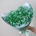 Букет «Лайм» из гипсофил