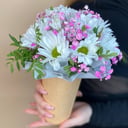 Композиция «Хризантема в стаканчике»