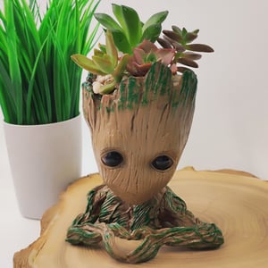 Флорариум Грут