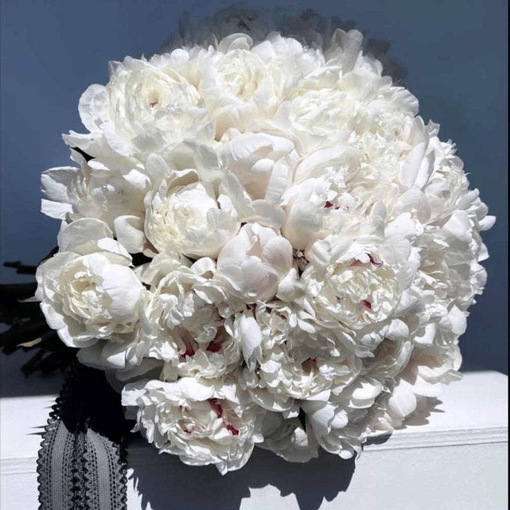 Букет 51 пион