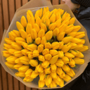 Букет 101 тюльпан желтый