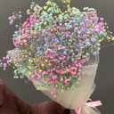 Букет «Радужная гипсофила»