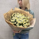 Букет «Свежие ароматные кустовые ромашки»