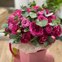 Коробка с цветами «Роза пионовидная фуксия»