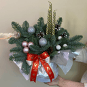 Композиция Нобилиса