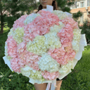 Букет из 31 гортензии "Воздушное облако"