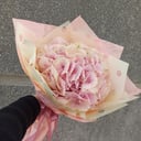 Букет «Гортензия»