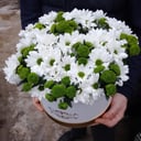 Коробка с цветами «Прайм» из хризантем