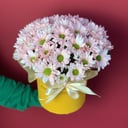 Шляпная коробка с цветами «Розовый вальс» из хризантем