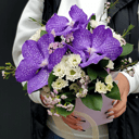 Коробка с цветами «Композиция "Синеглазка"» из орхидей