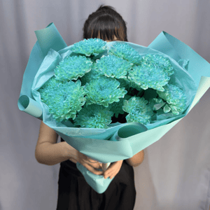 Букет «Комплимент из бирюзовых хризантем»