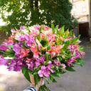 Букет «Краски альстромерии»