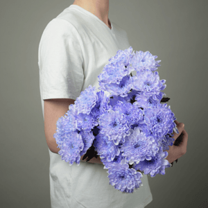 Монобукет из 3 кустовых хризантем