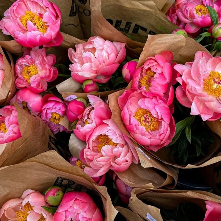 Peonies bouquet delivery
